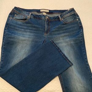 Cato Curvy Denim-18WP